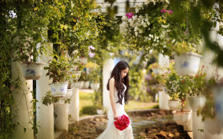 Woman white dress red bouquet - cheng shifa free wallpaper for desktop