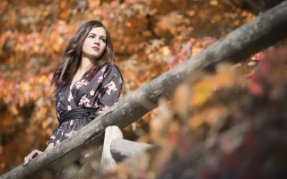Woman tree autumn kimono bokeh - american barbizon school free wallpaper