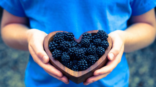 Heart shaped bowl berries closeup - evaline ness free wallpaper for desktop