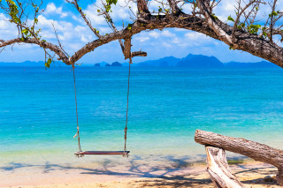 Beach ocean mountains swing trees - a swing free wallpaper