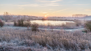 Lake trees sunset ecological puzzle - stunning free wallpaper