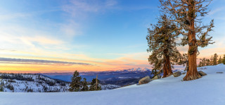 Snow mountain tree sunset clouds - widescreen free wallpaper