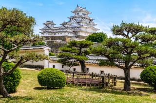 Building tower trees bench architecture - tree in front free wallpaper