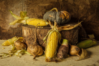 Vegetables wooden stump wall dirt - arcimboldo free wallpaper