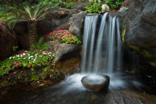 Waterfall garden rocks flowers plant - free summer wallpaper