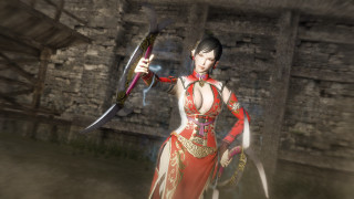 Woman red dress sword stone - a stone wall free wallpaper