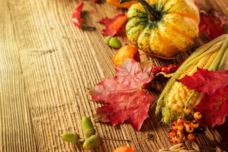 Autumn leaves pumpkins cornucopia harvest - a table free wallpaper