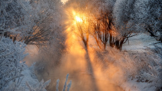 Sunbeam forest snow stream magic - andrey ryabovichev free wallpaper