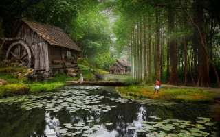 Pond lily pads house fantasy - a pond free wallpaper