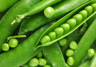 Peas closeup green pods white 2 - brenda chamberlain free wallpaper for desktop