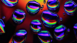 Water droplets multicolored holography macro - a surface free wallpaper