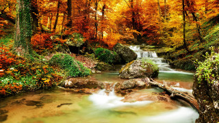 Autumn forest stream waterfall bridge - autumn time free wallpaper