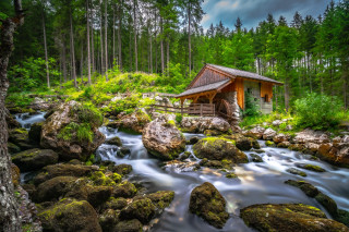 Small cabin overgrown stream bridge - a small cabin free wallpaper