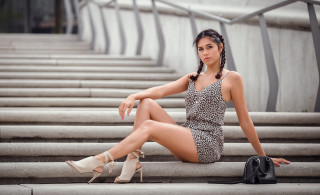 Woman leopard print dress highheels - the step of a building free wallpaper