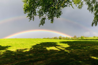 Rainbow green field trees dark 2 - over a green field free wallpaper