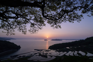 Sunset water boat tree fence - a sunset over a body of water free wallpaper for desktop