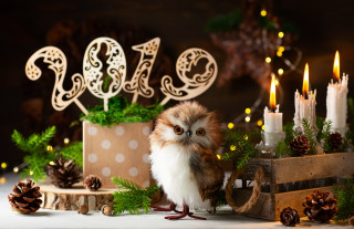 Small owl christmas cake candles - candle free wallpaper for desktop