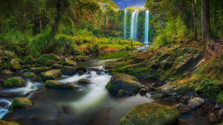Waterfall forest rocks trees stream 2 - rock and trees free wallpaper