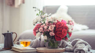 Flower vase tea cup blanket - soft color free wallpaper