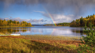 Rainbow lake boat forest impressionist - over a lake free wallpaper
