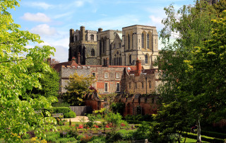 Gothic tower clock cherryblossom park - a park free wallpaper