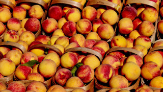 Peach baskets green leaf summer - summer vibrancy free wallpaper