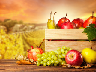 Wooden crate fruit vineyard autumn - fall vibrancy free wallpaper