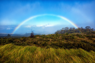 Rainbow over grassy hill with 3 - a rainbow free wallpaper