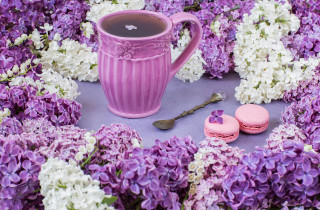 Purple mug macaroons flower bouquet - spoon free wallpaper