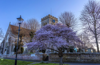 Purple flowered tree church clocktower - free spring wallpaper