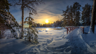 Snowy path lake sunset forest - a sunset in the background and trees free wallpaper