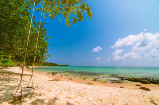 Swing beach ocean tree line - a swing free wallpaper
