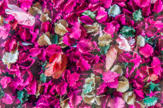 Pink flowers leaves red flower - a table together free wallpaper