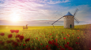 Windmill redflowers horseman sky landscape - a horse in the background free wallpaper