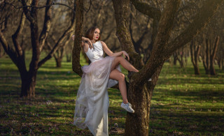 Woman white dress tree park 2 - grass and trees free wallpaper