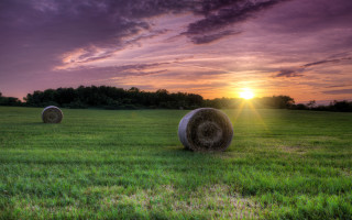 Haybales field sunset purple sky 2 - hdri free wallpaper for desktop