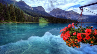 Lake mountains flower clouds night - bob ross free wallpaper