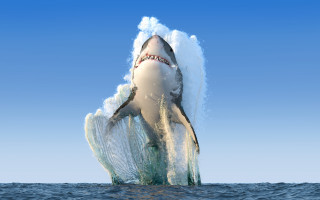 Shark jumping ocean waves blue - hyper real free wallpaper