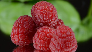 Raspberries leafy background macro photorealism - top of a table next free wallpaper