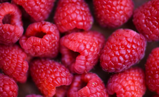 Raspberries water droplets closeup macro - arcimboldo free wallpaper