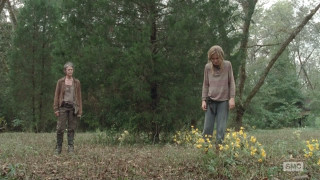 Two people field trees background - the background and bushes free wallpaper