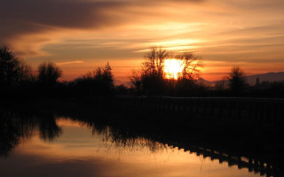 Sunset water trees fence clouds - in the foreground free wallpaper