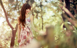 Woman dress forest sunlight art - chen lin free wallpaper