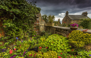 Garden stonewall pottedflowers cloudy sky - a stone wall free wallpaper