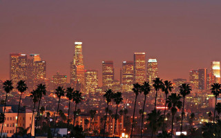 City skyline palm trees nighttime 2 - the building free wallpaper