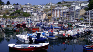 Harbor boats hillside buildings trees 3 - a hillside free wallpaper