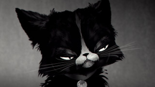 Black white cat microphone mouth - cat free wallpaper