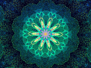 Colorful flower blue background green - a colorful flower free wallpaper