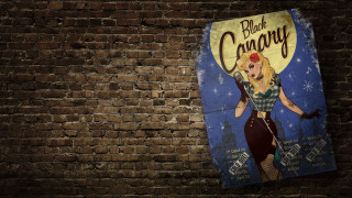 Brick wall black canary woman - western comic book art free wallpaper