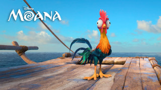 Cartoon chicken dock ocean boat - brian thomas free wallpaper